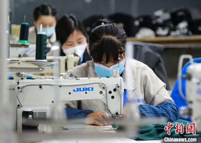 新奥天天免费资料大全｜精选解释解析落实