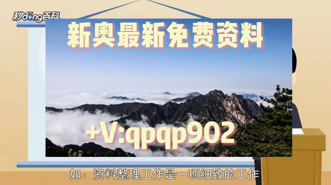 2024新奥正版资料免费｜精选解释解析落实