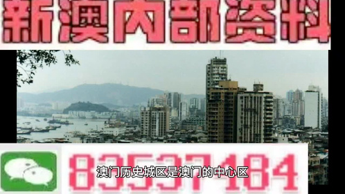 2024澳门新资料大全免费直播｜精选解释解析落实